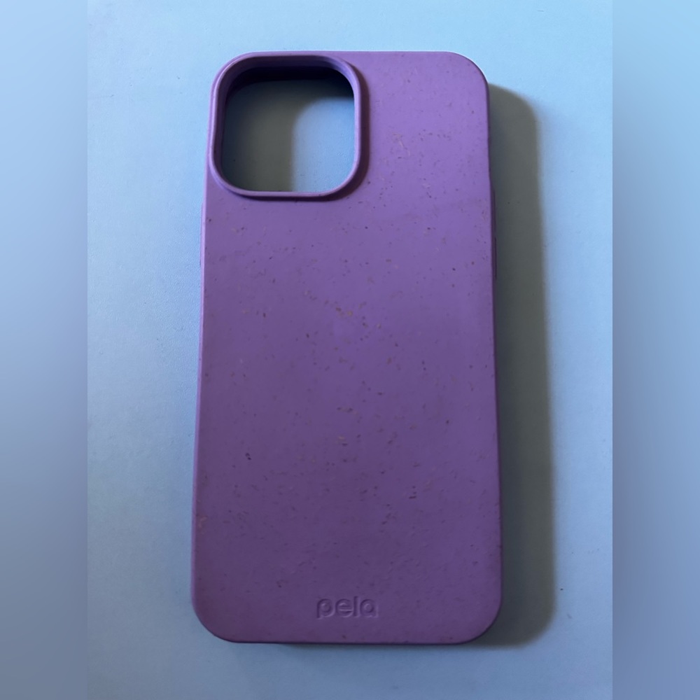 iPhone 13 Pro Max case